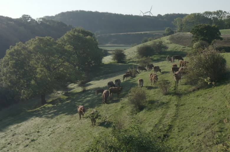 Livestock sector is a circular champion, new group says