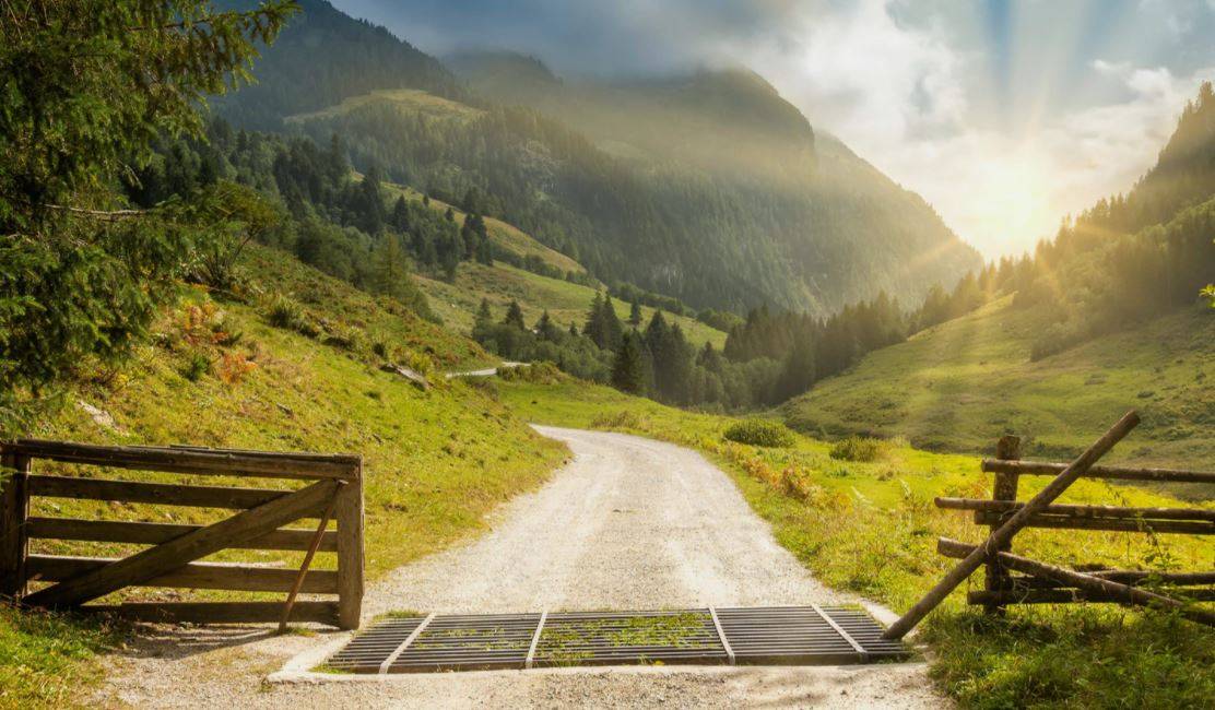 JBS to invest $1bn to hit zero GHG by 2040