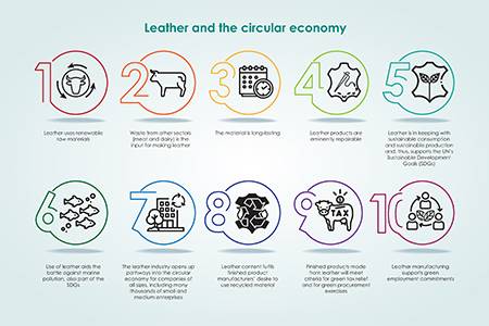 Flaws in Farm to Fork                                                                                                                                                                                   