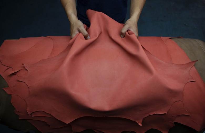 Italian bodies set up their own WWF partnership