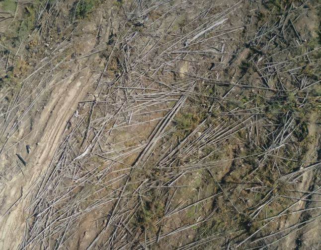 LWG accelerates traceability initiatives