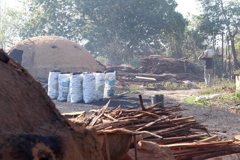 Project in place for deforestation-free leather supply chains