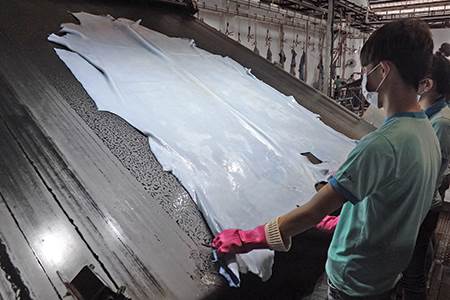 Nothing to Hide: Chrome in leather manufacture: part one                                                                                                                                                