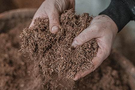 Soling tradition will live on                                                                                                                                                                           