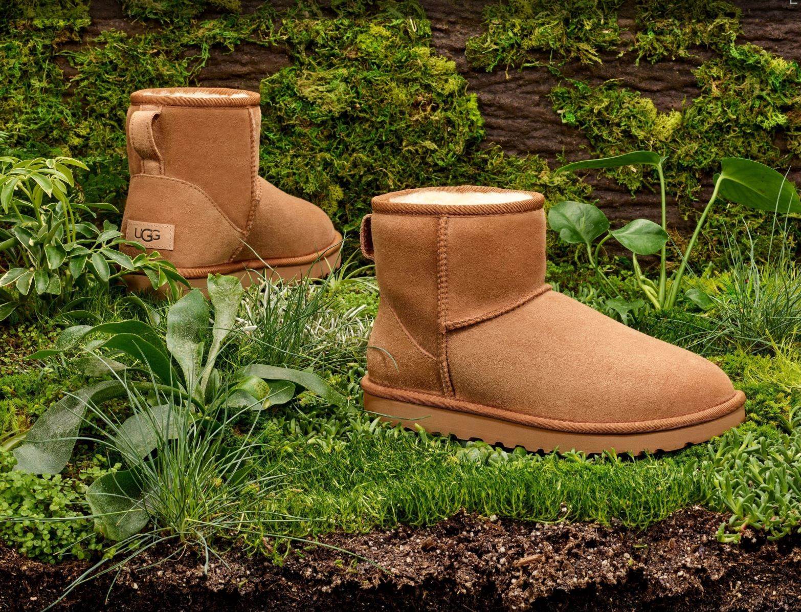 Ugg launches first boot from ‘regenerative’ sheepskin
