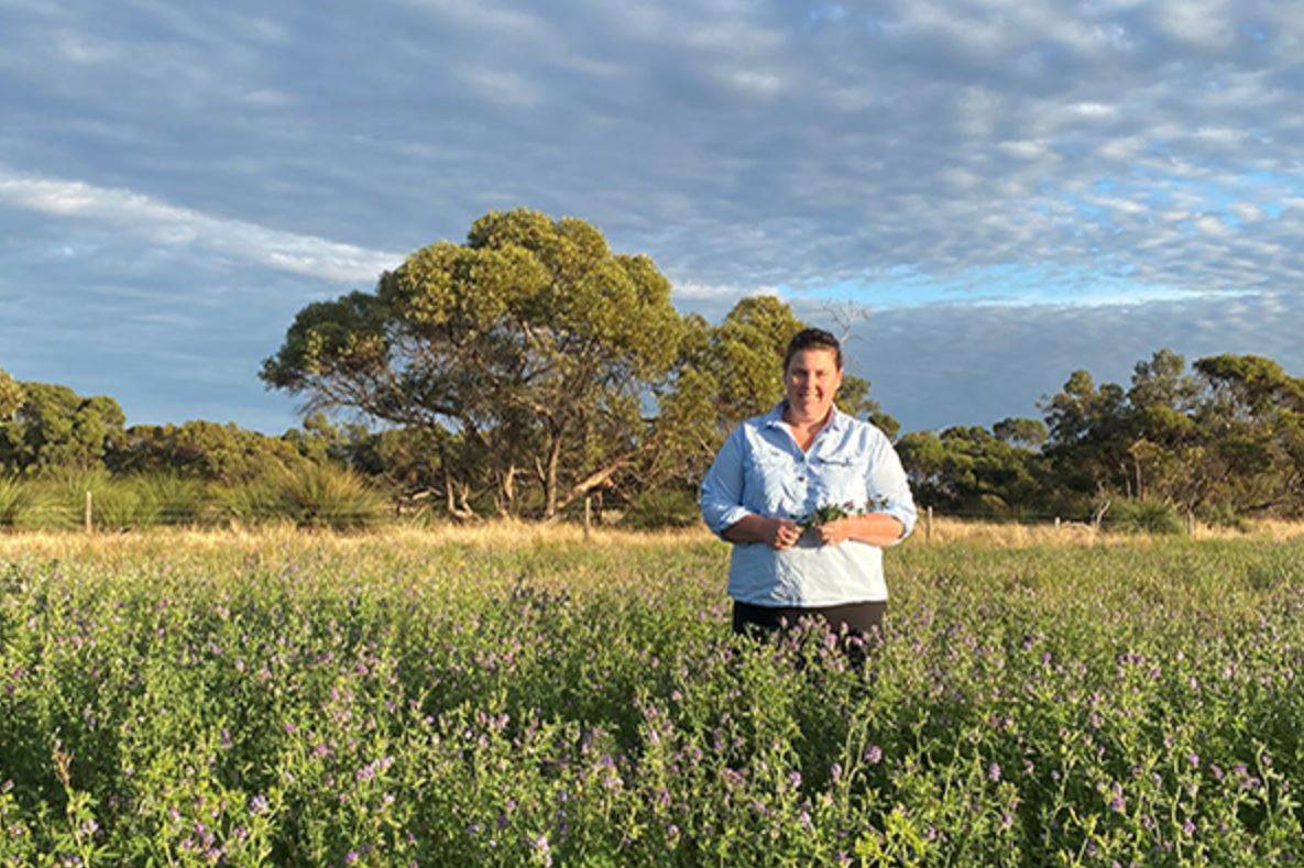 Australian project shows rotational grazing boosts soil carbon
