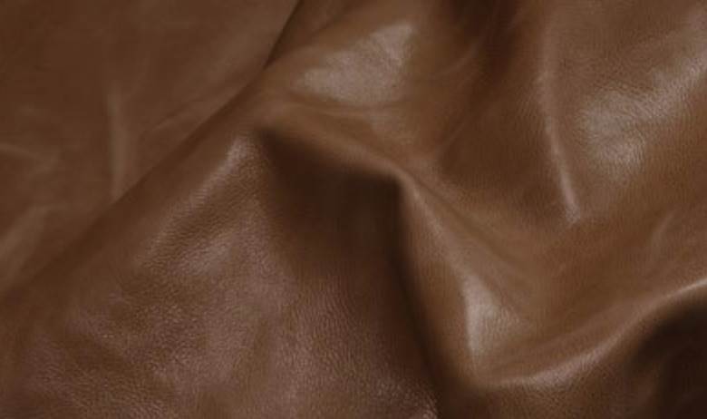 Project under way to improve natural tannins