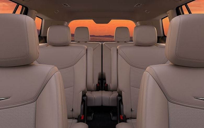 Bader MD sows seeds of confidence in leather