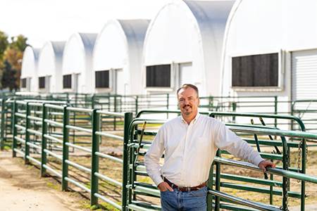 Cooling role for cattle farms                                                                                                                                                                           