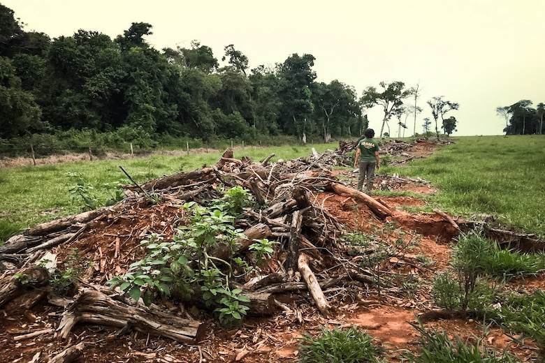 Deforestation regulations should exclude leather, ICT says