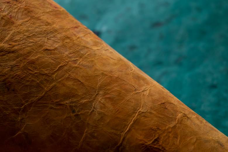 Partnership announced between Ecco Leather and mycelium producer