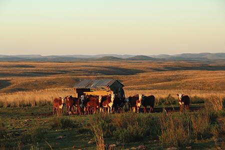 Veja’s 180-degree turn                                                                                                                                                                                  