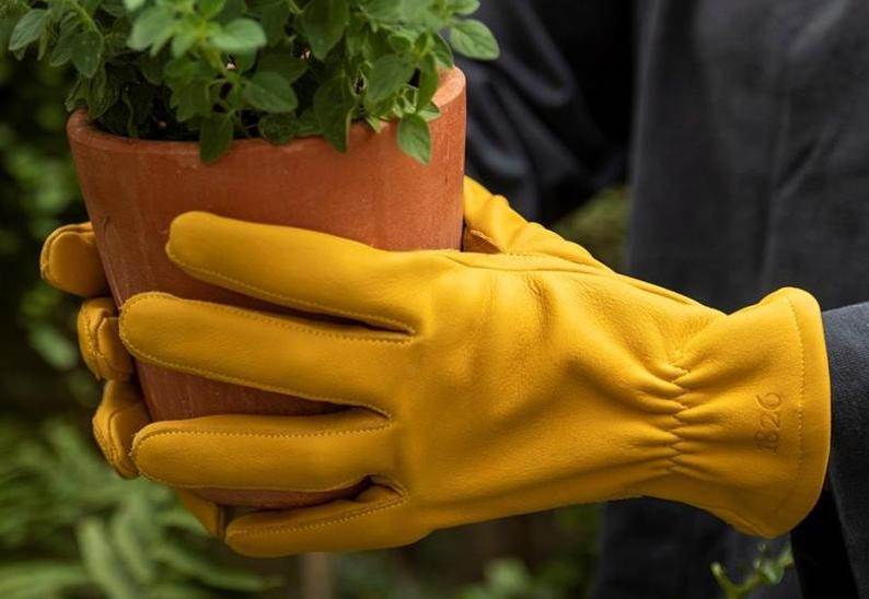 Retail boost for Pittards