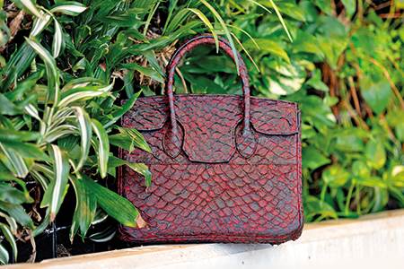 Regenerative leather turns heads                                                                                                                                                                        