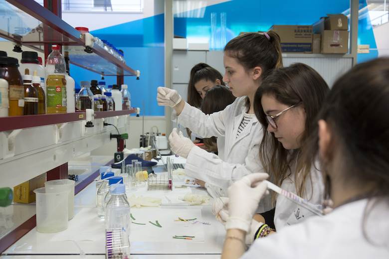 World Leather celebrates women in the leather industry