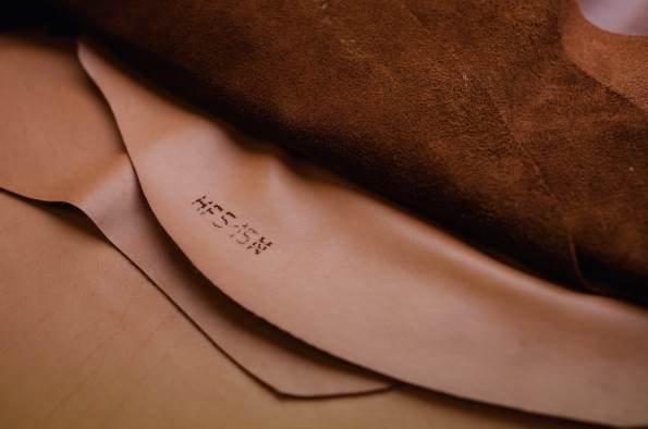 WWF call to action wins support from Bridge of Weir