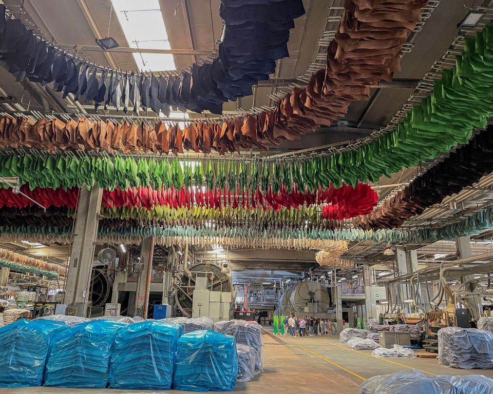 Gruppo Mastrotto celebrates 65 years with open day