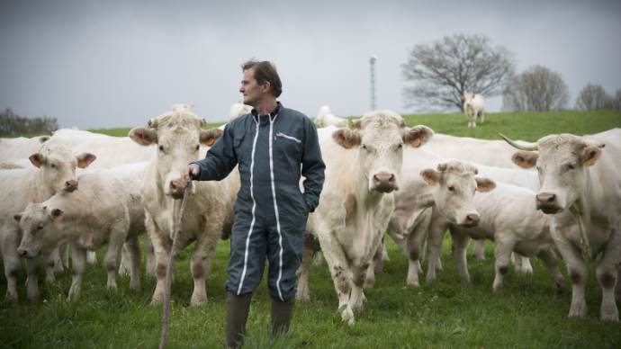 Traceability 2025: the gap between abattoirs and tanneries