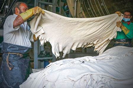 Allies in authenticity                                                                                                                                                                                  