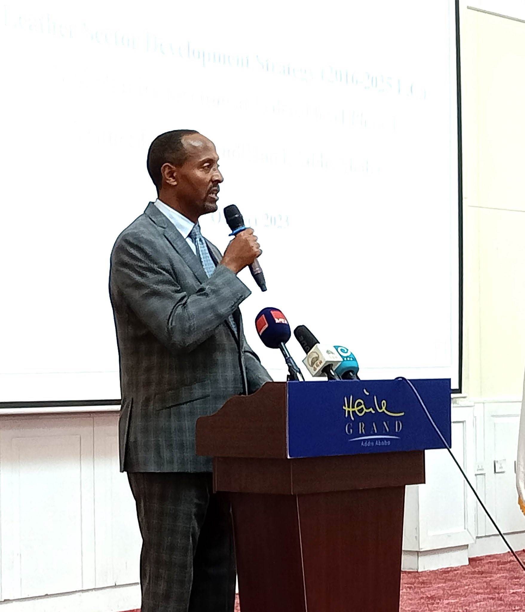 Ethiopian minister calls for development strategy