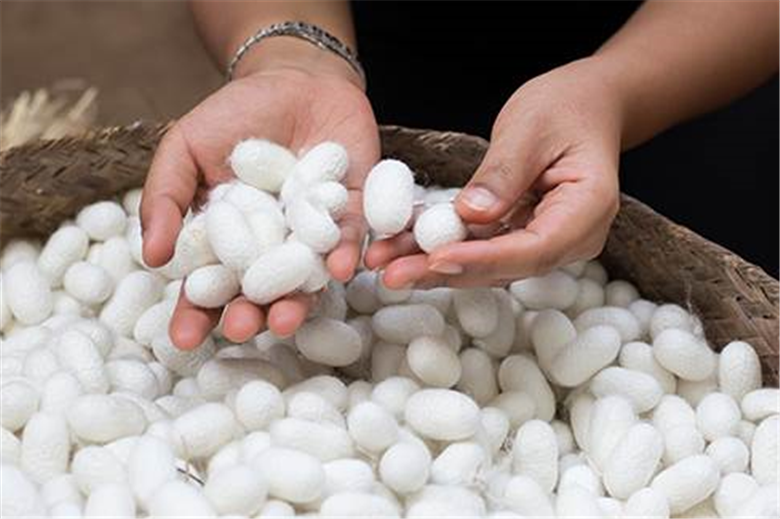 Evolved By Nature expands reach in Italy and Thailand