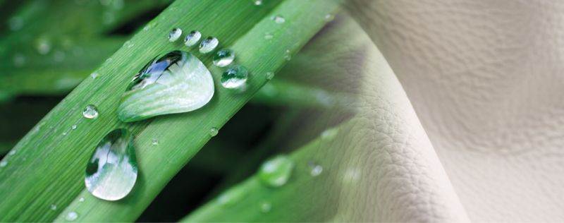 Pulcra chemicals launch renewable carbon fatliquor