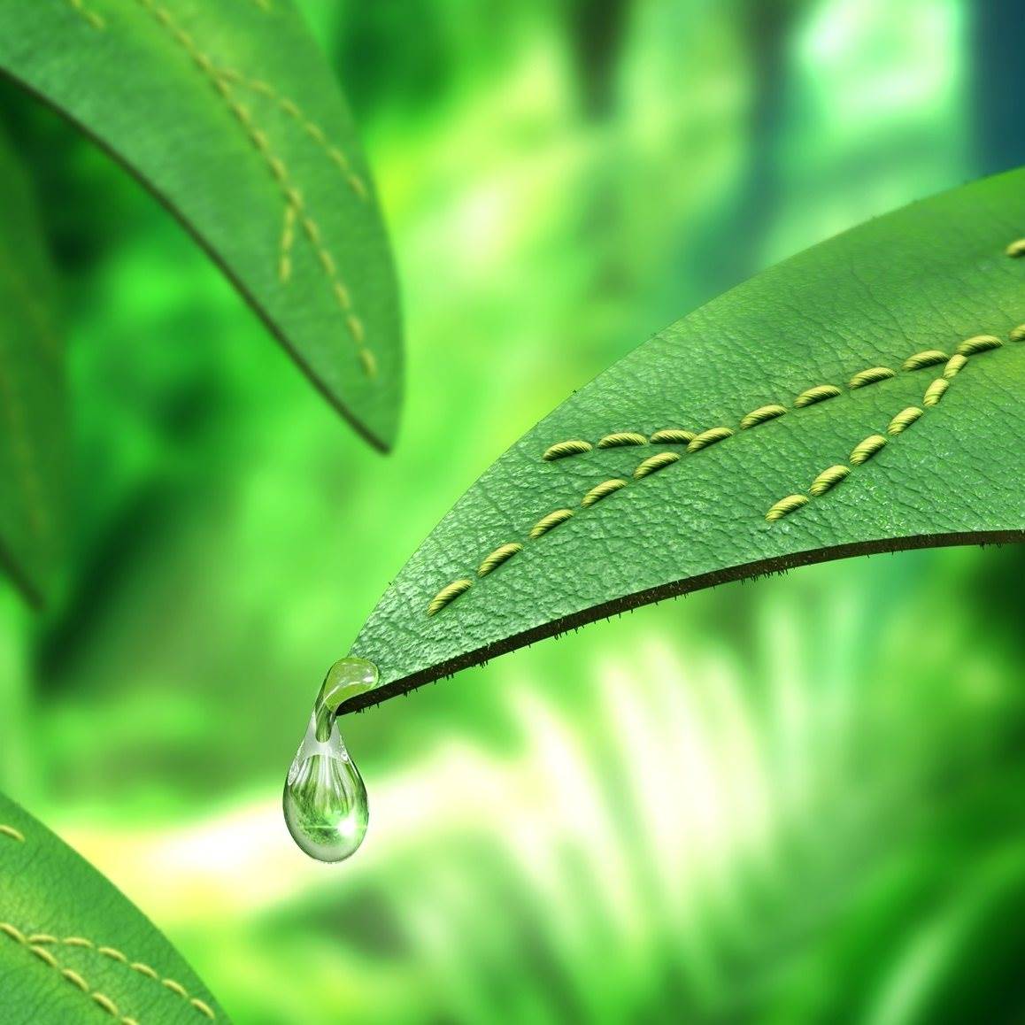 EcoVadis Platinum for Royal Smit and Zoon