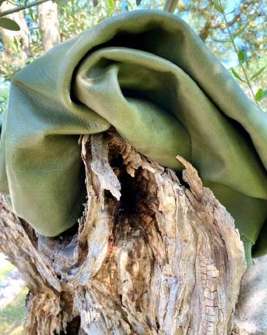 GSC in exhibition mode