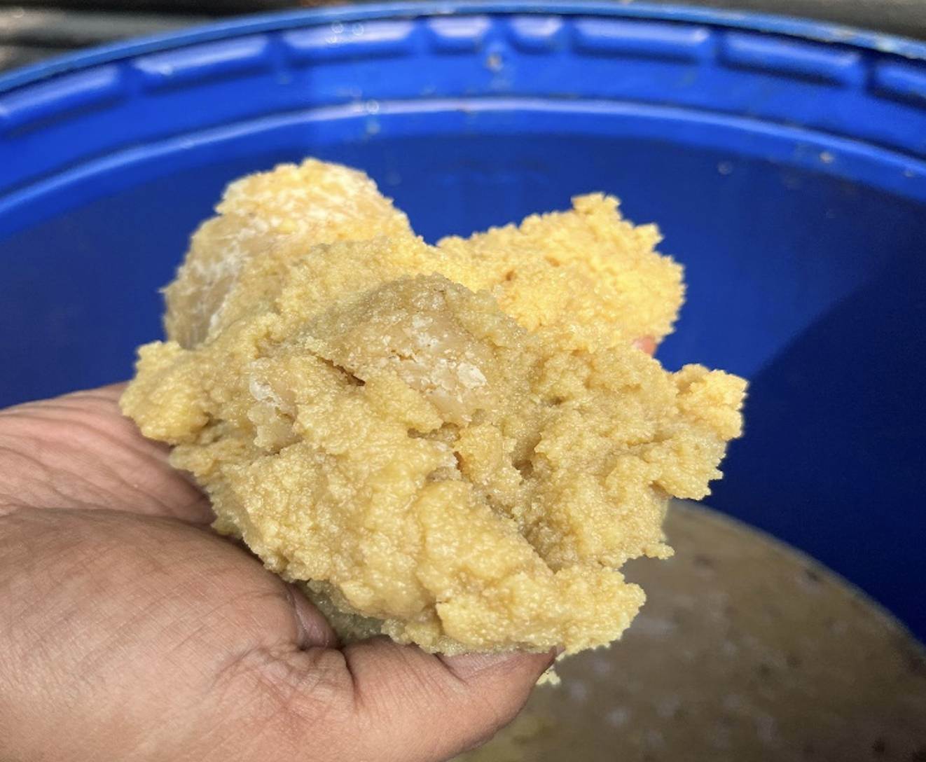 Solidaridad project turns 'waste-to-value'