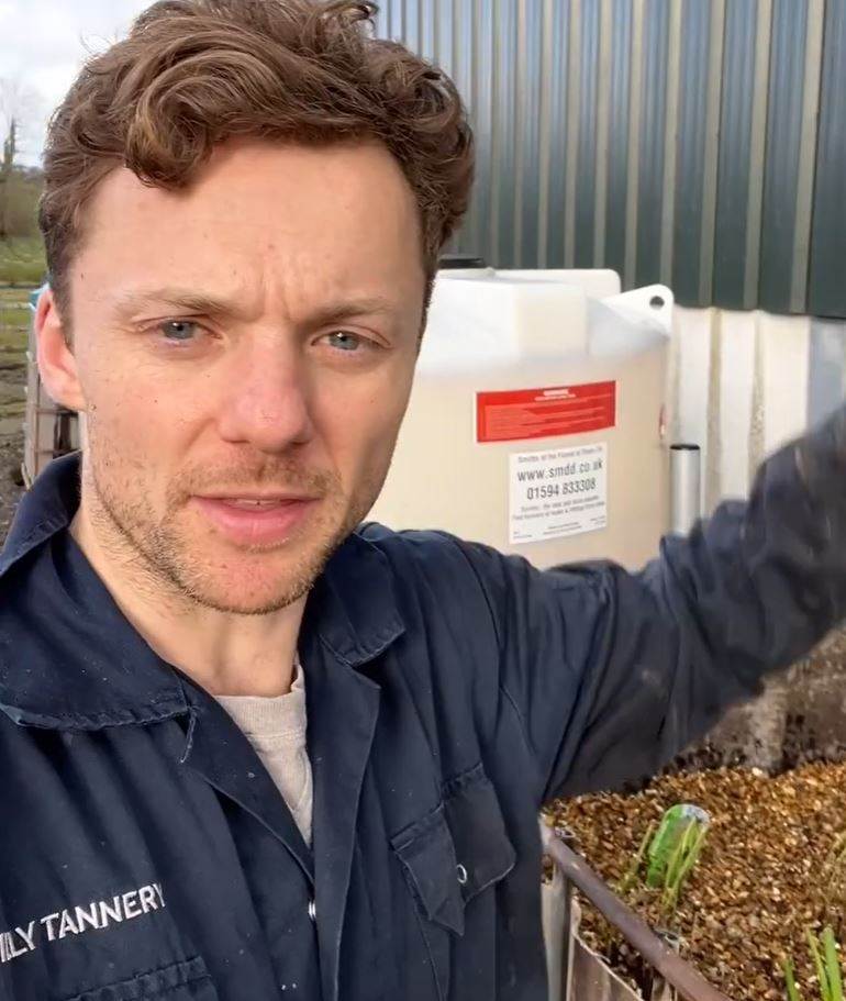 Billy Tannery turns to reed beds for effluent treatment
