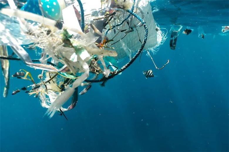 Stahl joins PHA alliance