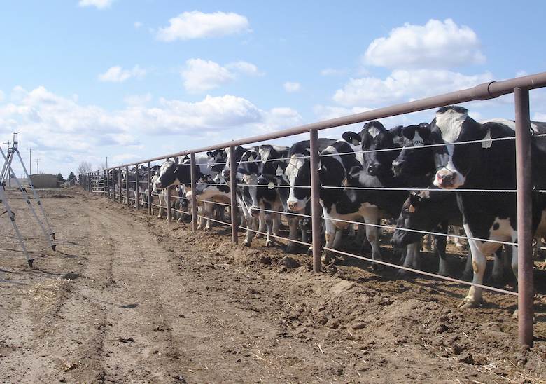 Senior US government figures ask for EUDR delay