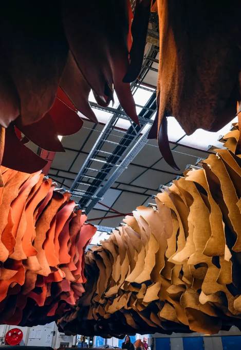 Growth and distribution celebrated in the French leather industry