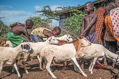 A key for tackling hunger                                                                                                                                                                               