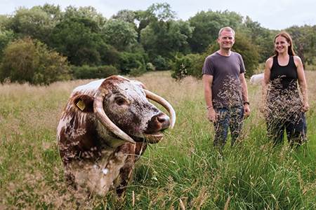 Innovative diversification                                                                                                                                                                              