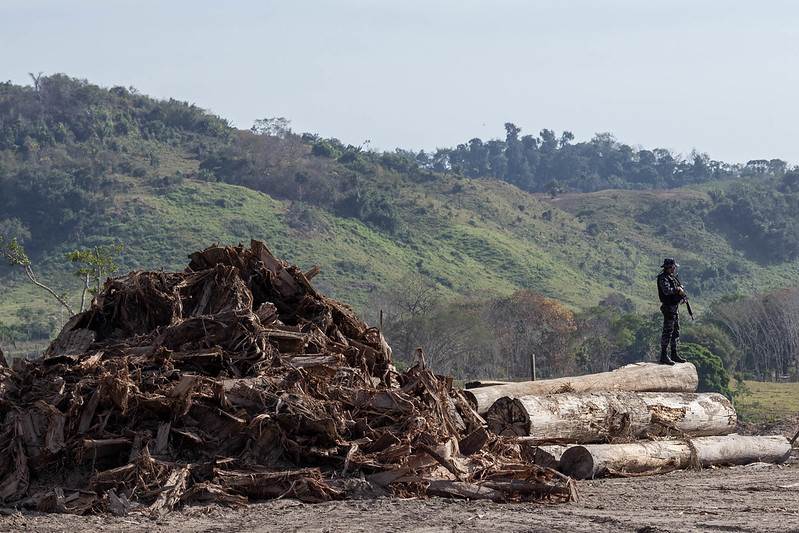 EUDR: proposed postponement clears important hurdle