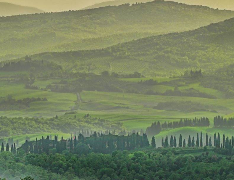 Tuscan leather suppliers the focus for Kering’s water targets