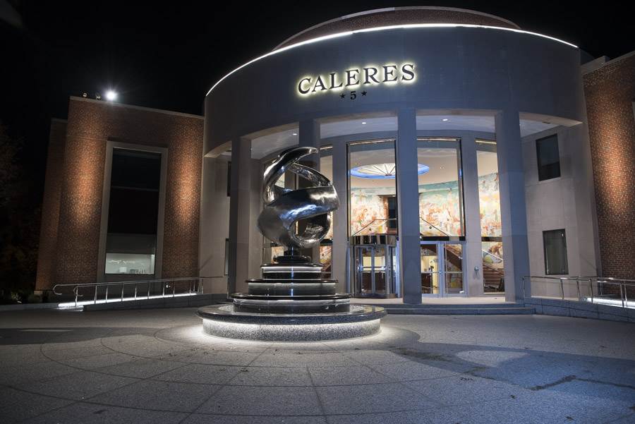 Caleres reports 2024 financial decline