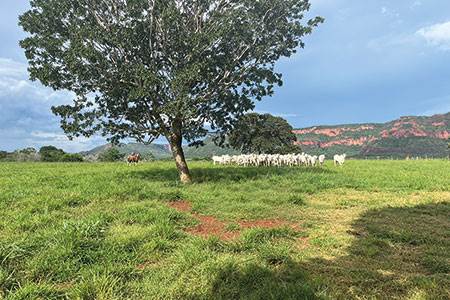 Where things come from                                                                                                                                                                                  