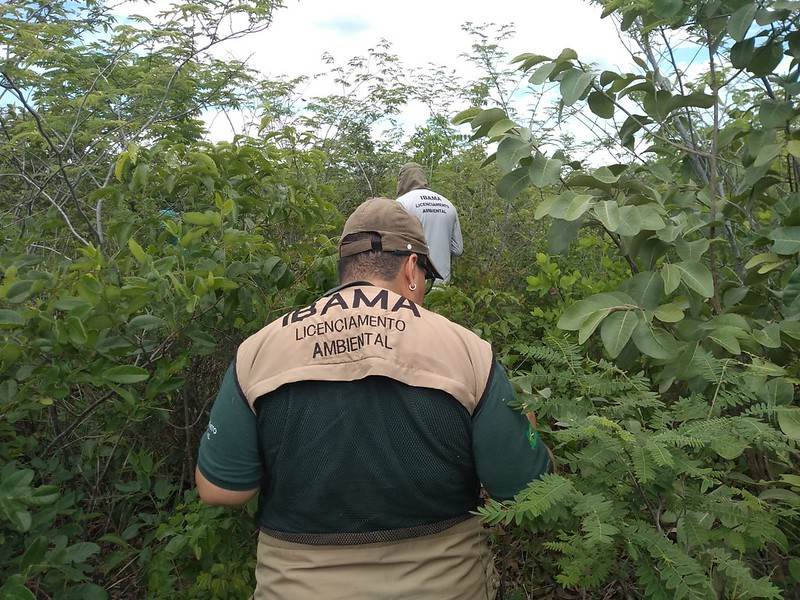 Simplifications will reduce cost of EUDR burden by 30%, Commission says