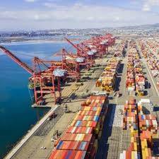 Half-year figures show tariff effect on US hide exports