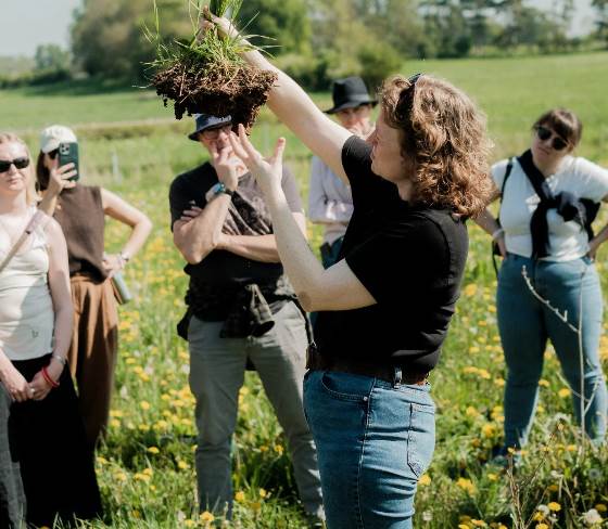 British Pasture Leather to host October Field Days