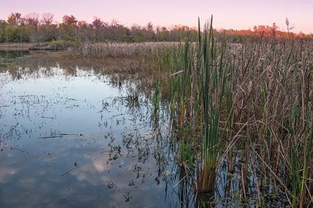 Luxury group Kering has released the first details of a new water...
