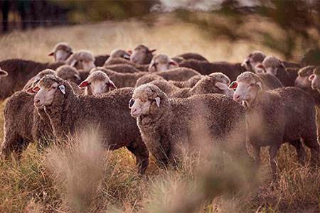 Leather industry representatives are working increasingly closely with their...