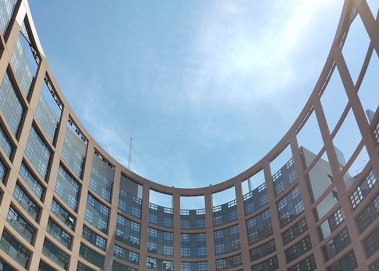 Huge majority in European Parliament votes to make EUDR simpler