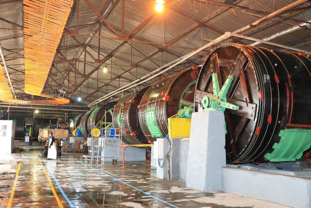 Ethiopia plans raw hide export ban to support tanneries