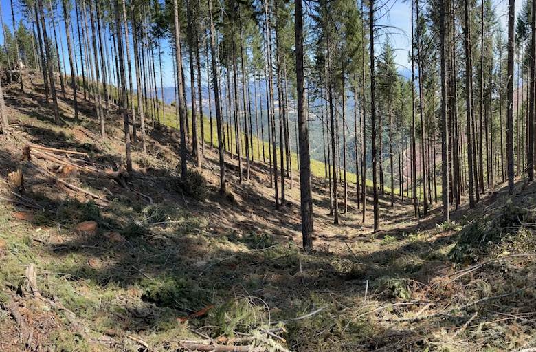 Native American leader links EUDR to colonialism