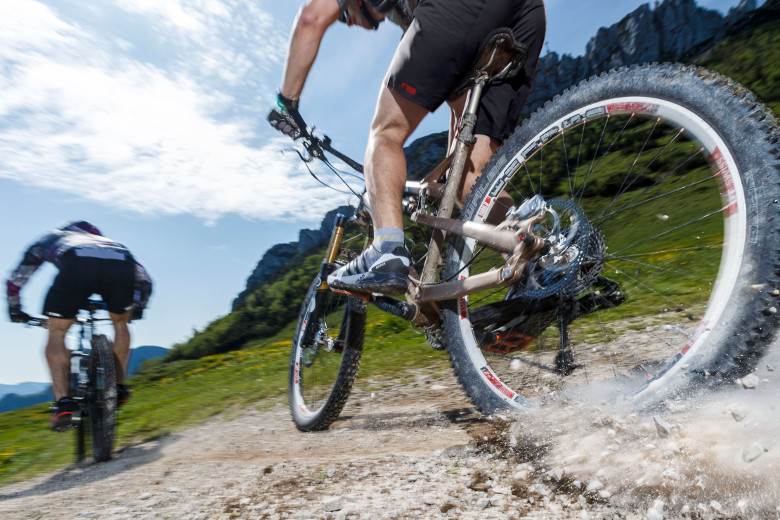 Patagonia, adidas and Arcteryx join 350 leaders in new letter to Trump