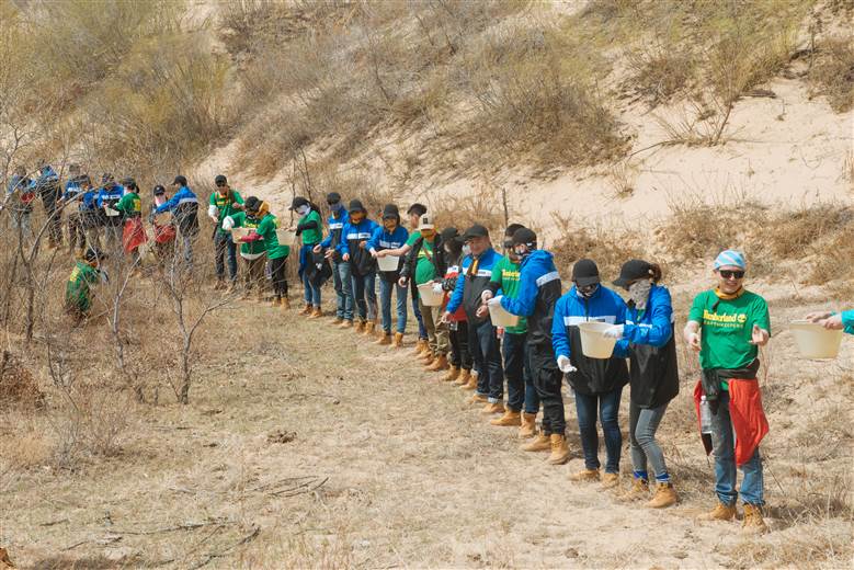 Timberland announces bold goal to plant 50 million trees