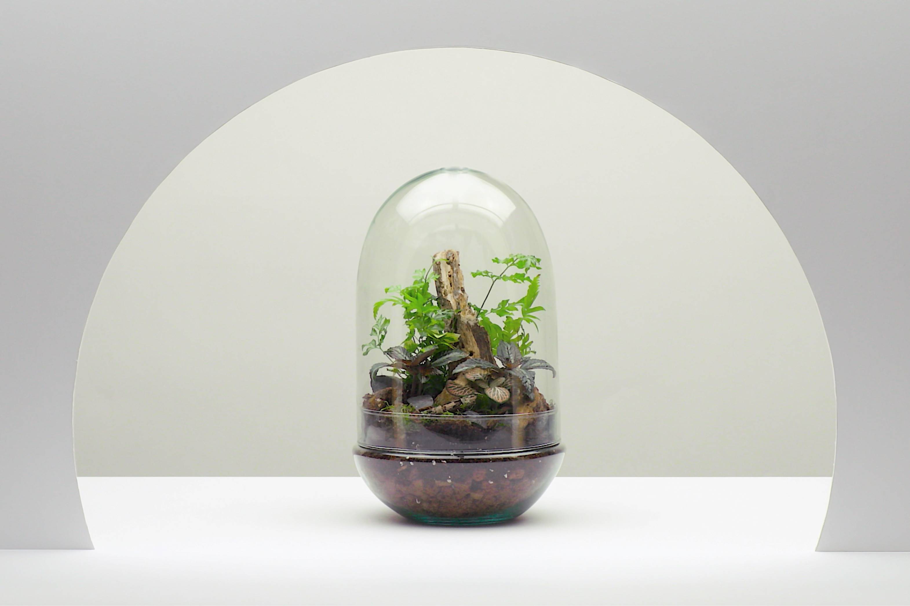 Plant-based water repellents hailed as ‘leap’ for Rudolf